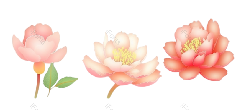 叶子图片,装饰元素,元素PNG,花纹免抠素材